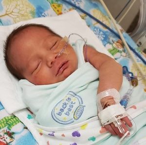 Meet your Posher, Samantha